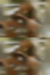 Sexy girls oil women looking for sexual City.